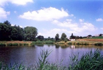 Budislav