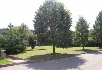 Kučerov