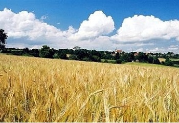 Vysoká