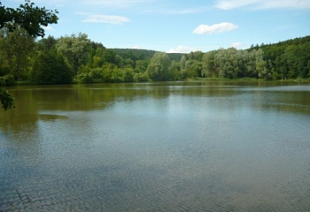 Březolupy