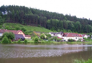Pokojovice
