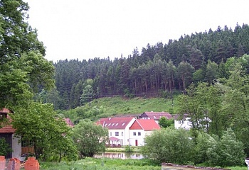 Pokojovice