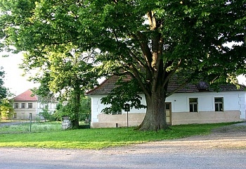 Roudná