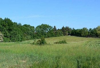 Seletice