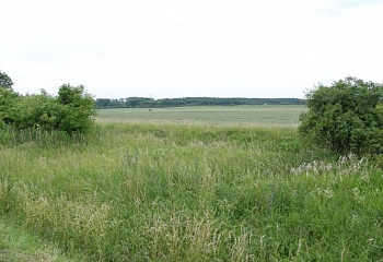 Velenka