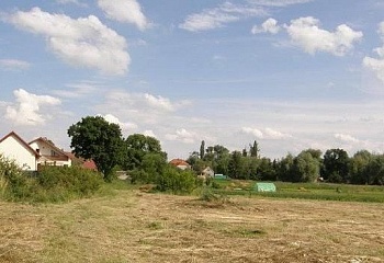 Všechlapy