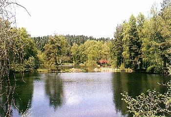 Větřní