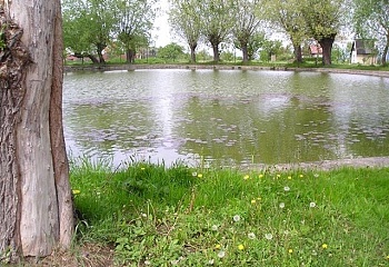 Zbrašín
