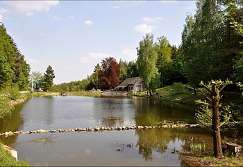 Olšany