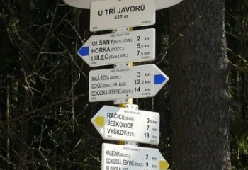 Olšany