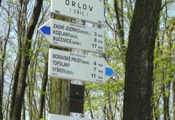 Orlovice