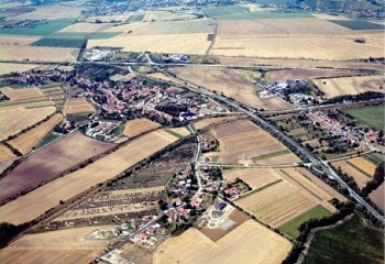 Holubice