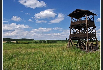Líně