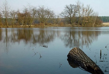 Myslinka