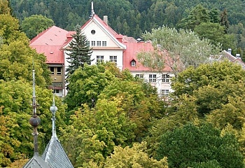 Oloví