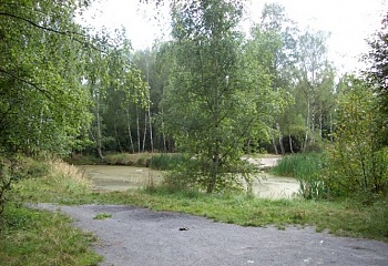 Třemošná