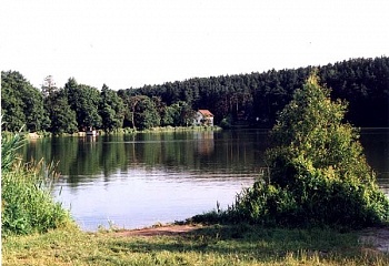 Trnová