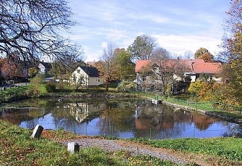 České Lhotice