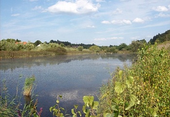 Vejprnice
