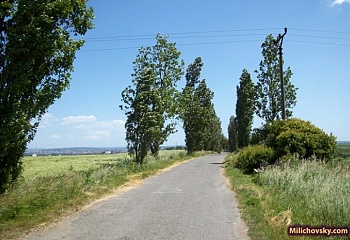 Vochov