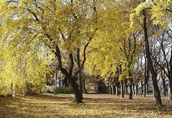 České Velenice