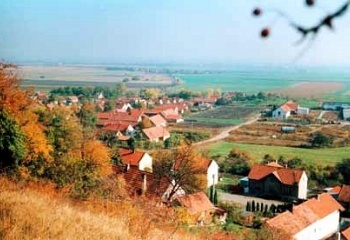 Dřínov