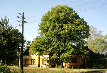 Bratkovice