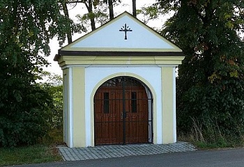 Dřenice