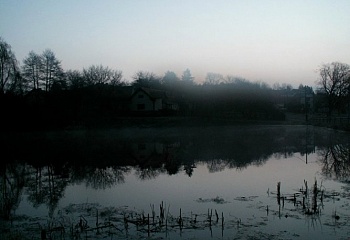 Bukovany