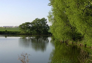 Blanné