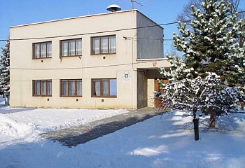 Borotice