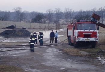 Stříbřec