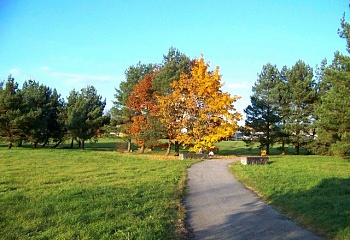 Třeboň
