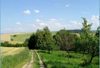 Němčany