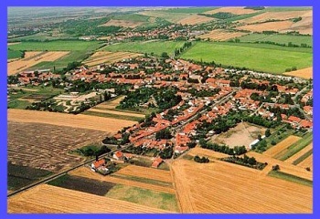 Šaratice