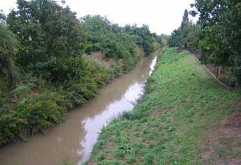 Šaratice