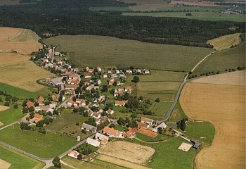 Nevid