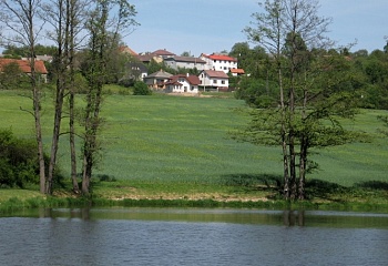 Skořice