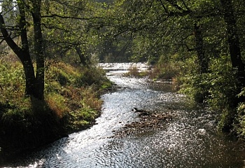 Smědčice