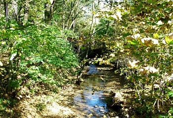 Svojkovice