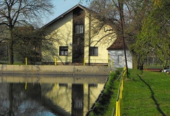 Vejvanov