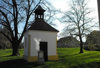 Vejvanov