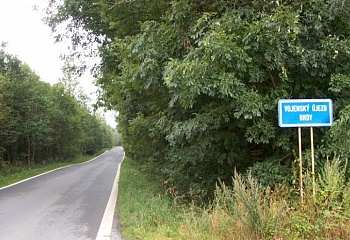Vísky