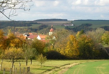 Zvíkovec