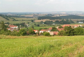 Borovná