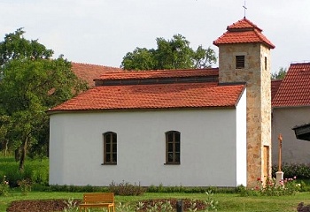 Borovná