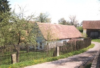 Borovná