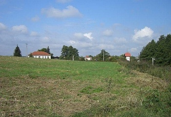 Borovník