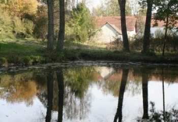 Psárov