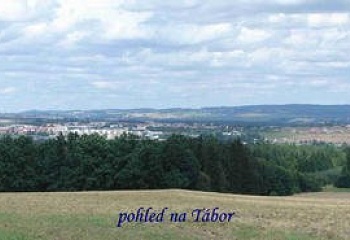 Radimovice u Želče